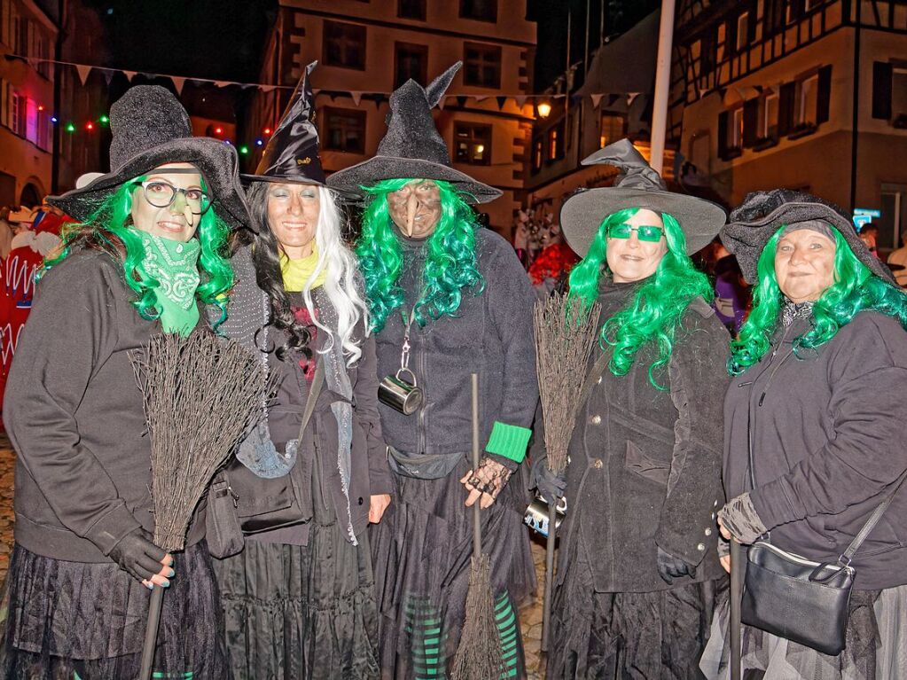 Ein buntes und phantasievolles Spektakel boten unzhlige Gruppen bei der groen Schnurrnacht am Samstagabend in Endingen, fr viele ein echter Hhepunkt der Endinger Fasnet.