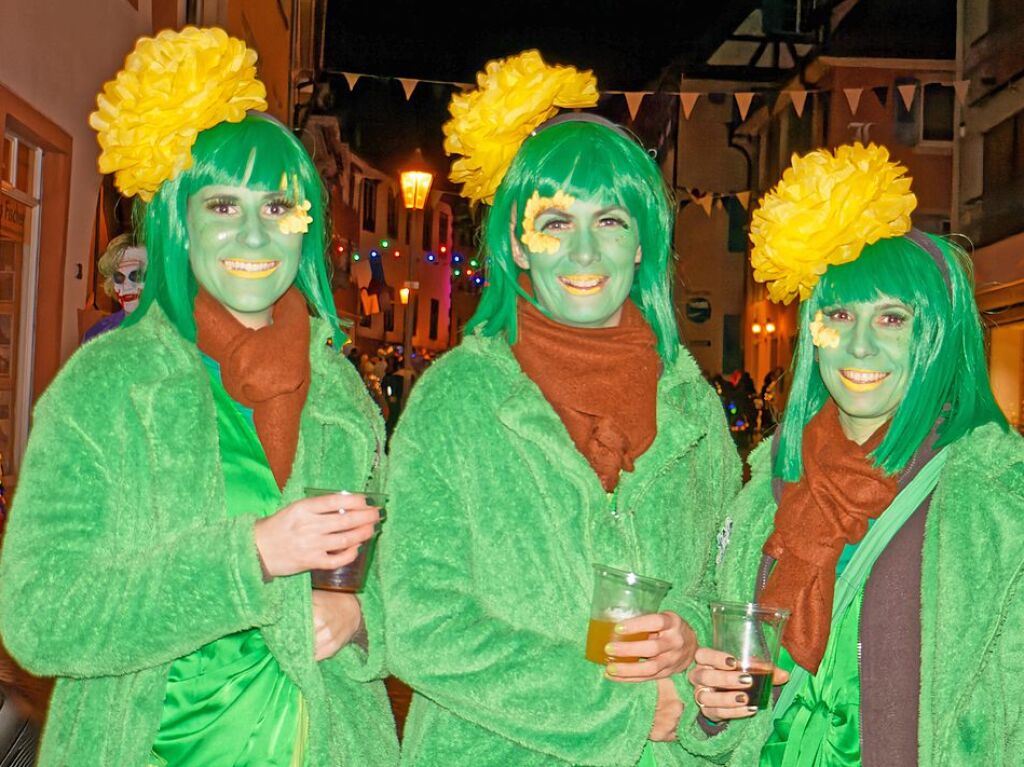 Ein buntes und phantasievolles Spektakel boten unzhlige Gruppen bei der groen Schnurrnacht am Samstagabend in Endingen, fr viele ein echter Hhepunkt der Endinger Fasnet.