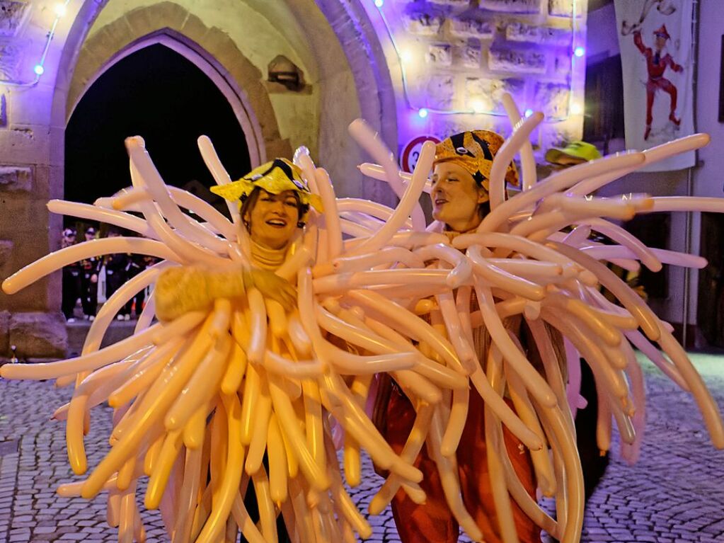 Ein buntes und phantasievolles Spektakel boten unzhlige Gruppen bei der groen Schnurrnacht am Samstagabend in Endingen, fr viele ein echter Hhepunkt der Endinger Fasnet.