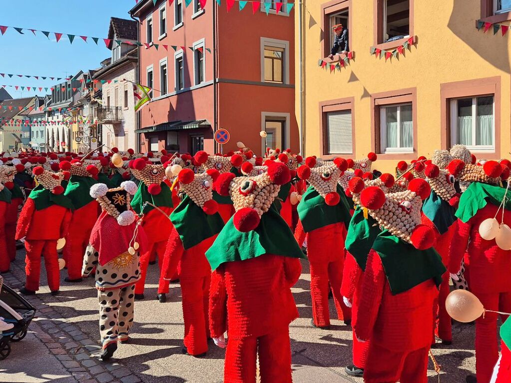 Am Fasnet-Ausrufen in Elzach beteiligten sich unzhlige Schuttig.