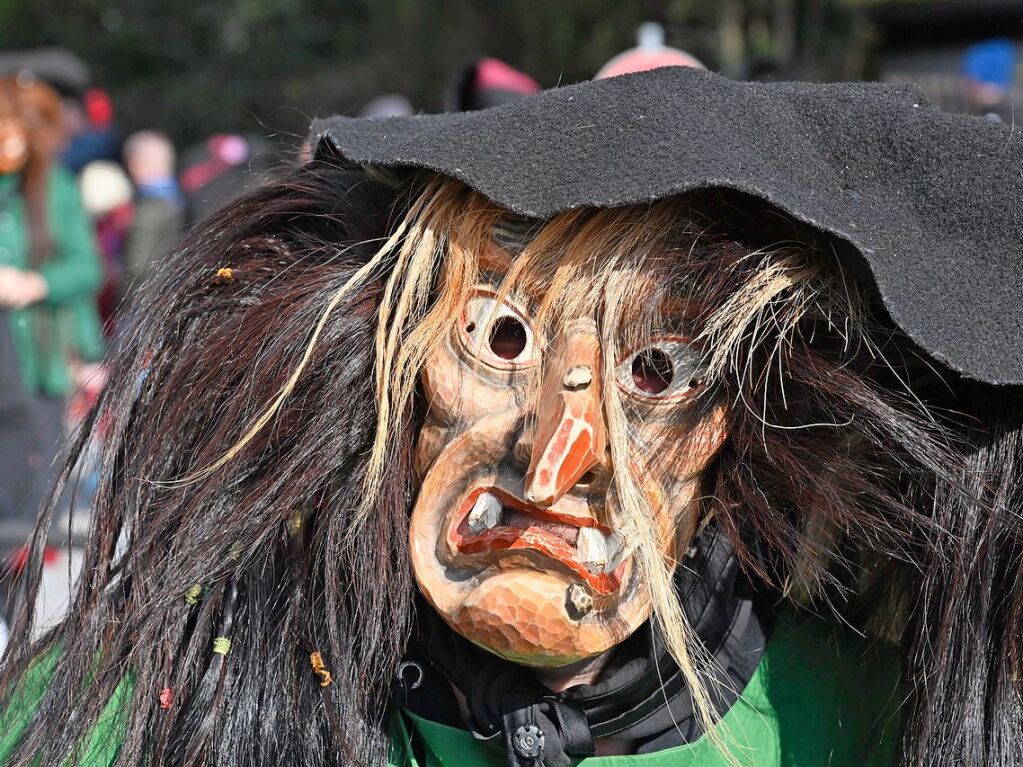 Die Sonne zeigte sich rechtzeitig zum Fasnachtsumzug in Bad Krozingen, bei dem sich das Publikum am Rande der Strecke drngte, auch um eine der vielen Sigkeiten zu ergattern, welche reichlich verteilt wurden. An Konfetti mangelte es ebenfalls nicht.