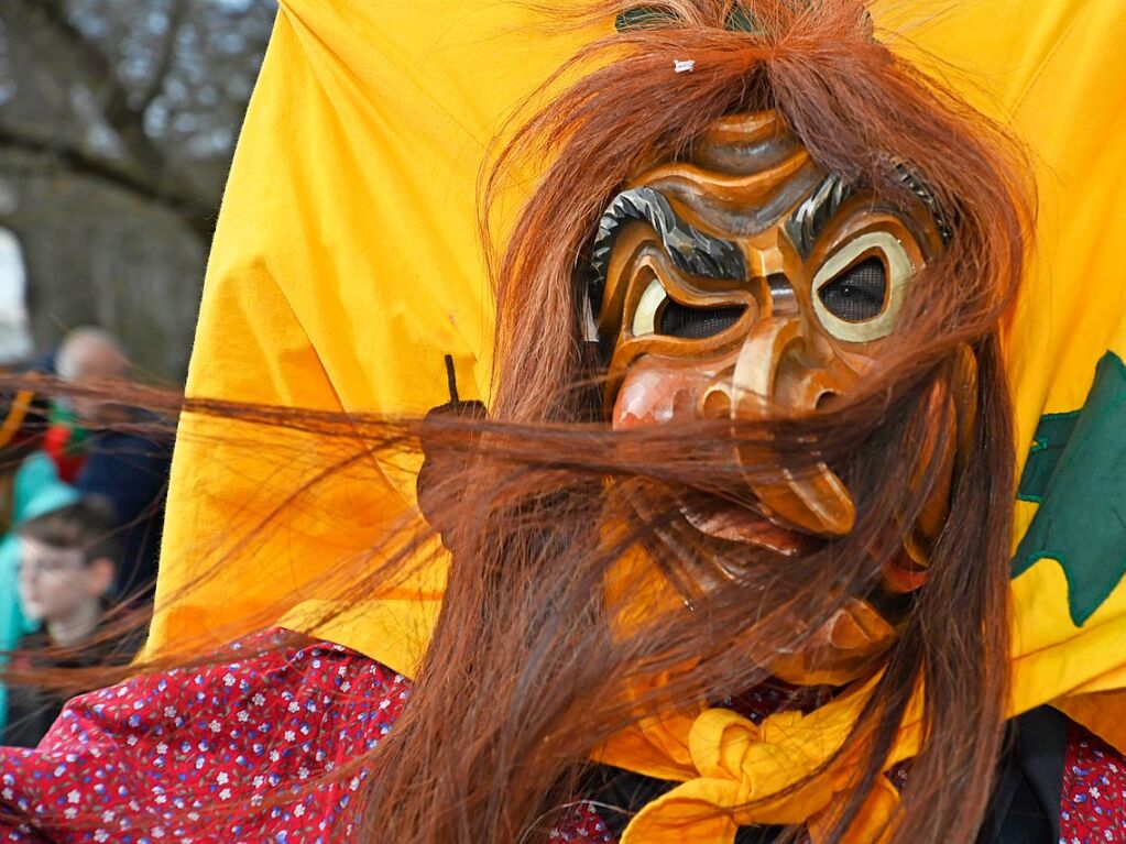 Die Sonne zeigte sich rechtzeitig zum Fasnachtsumzug in Bad Krozingen, bei dem sich das Publikum am Rande der Strecke drngte, auch um eine der vielen Sigkeiten zu ergattern, welche reichlich verteilt wurden. An Konfetti mangelte es ebenfalls nicht.