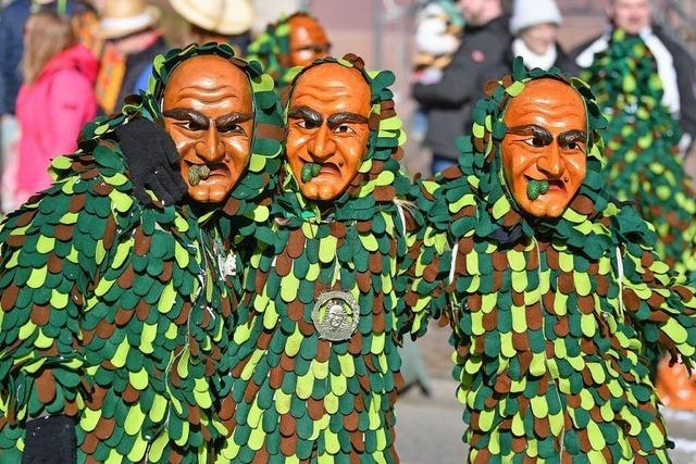 Fotos: So war der Umzug durch Neuried-Ichenheim am Sonntag