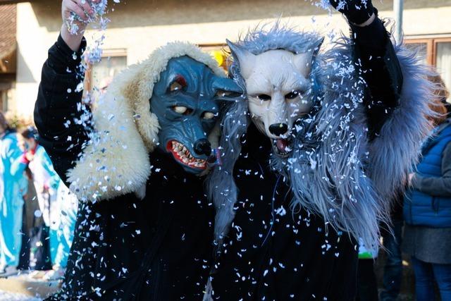 Fotos: Der Fasnetumzug in Hartheim