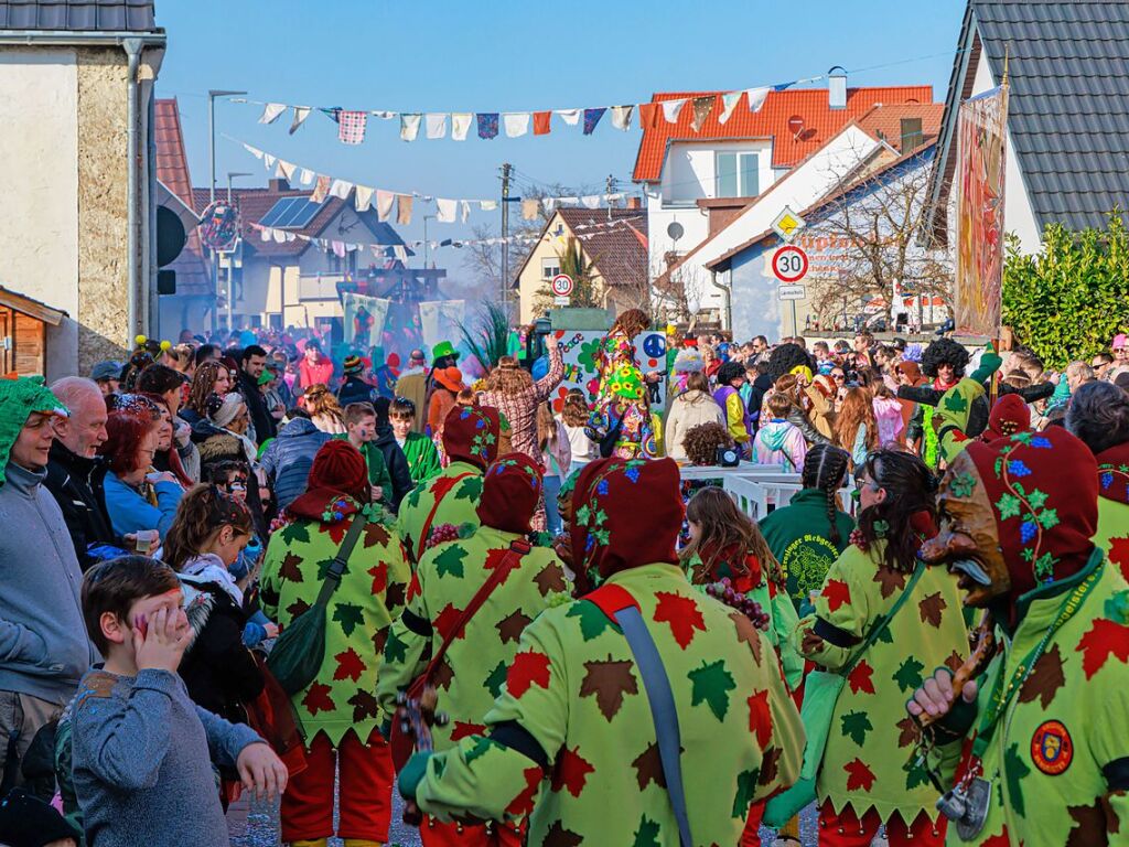 Der Fasnetumzug in Hartheim