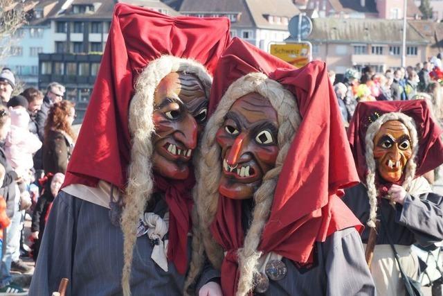 Fotos: Tausende Narren feiern grenzenlos auf Rheinfelder Fasnachtsumzug