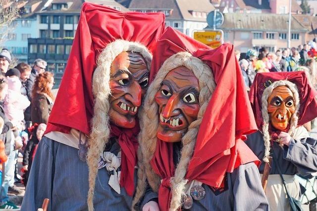 Tausende Narren feiern grenzenlos auf Rheinfelder Fasnachtsumzug