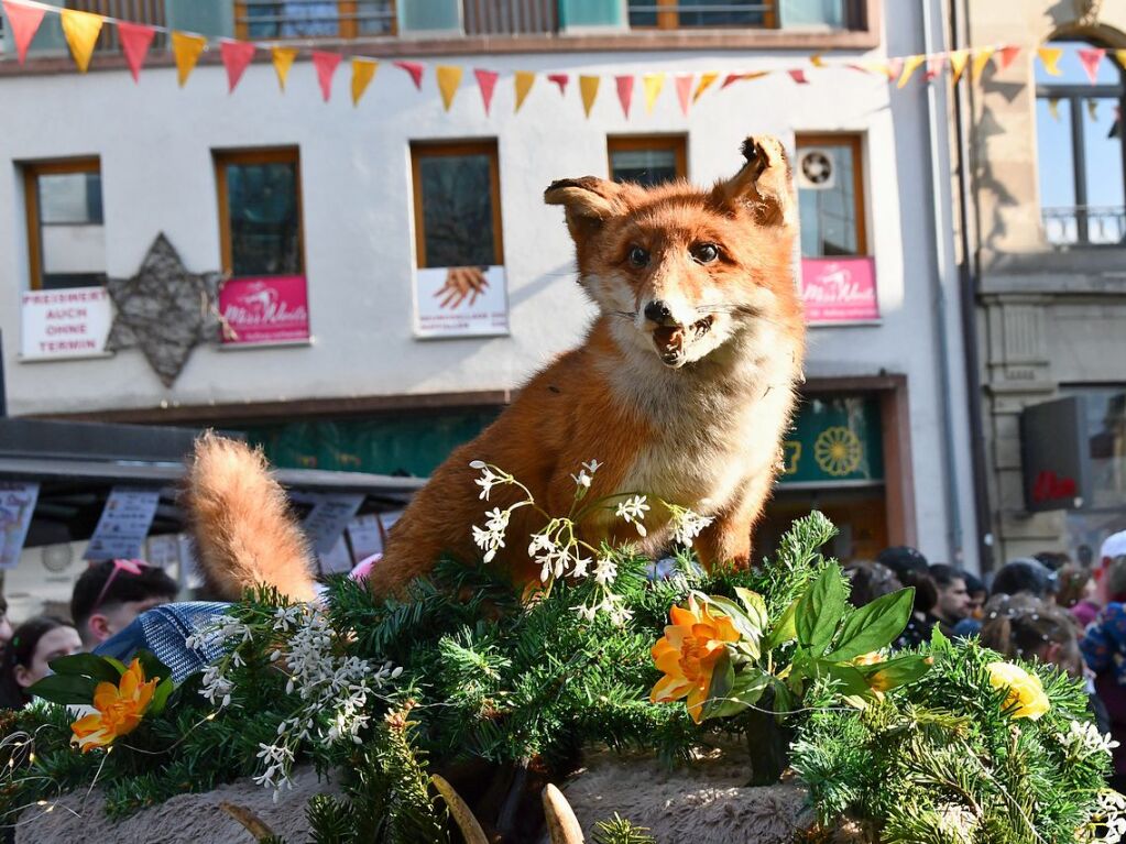 So bunt war der Fasnachtsumzug in Lrrach.