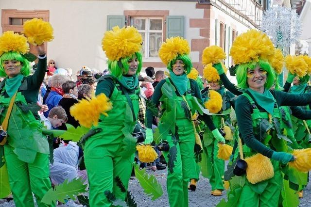 Fotos: So bunt waren die Umzge am Wochenende am nrdlichen Kaiserstuhl