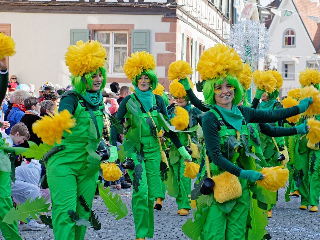 Jubilumsumzug zu 75 Jahre Narrenvereinigung Lustige 13 in Riegel: Die "Riegeler Fasnetsfrauen" als Unkraut, das nicht vergeht.