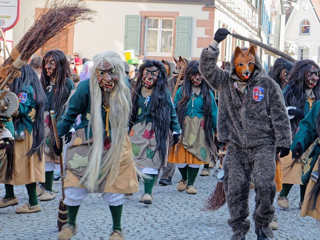 Jubilumsumzug zu 75 Jahre Narrenvereinigung Lustige 13 in Riegel: Die Hexen und Wlfe aus Wyhl