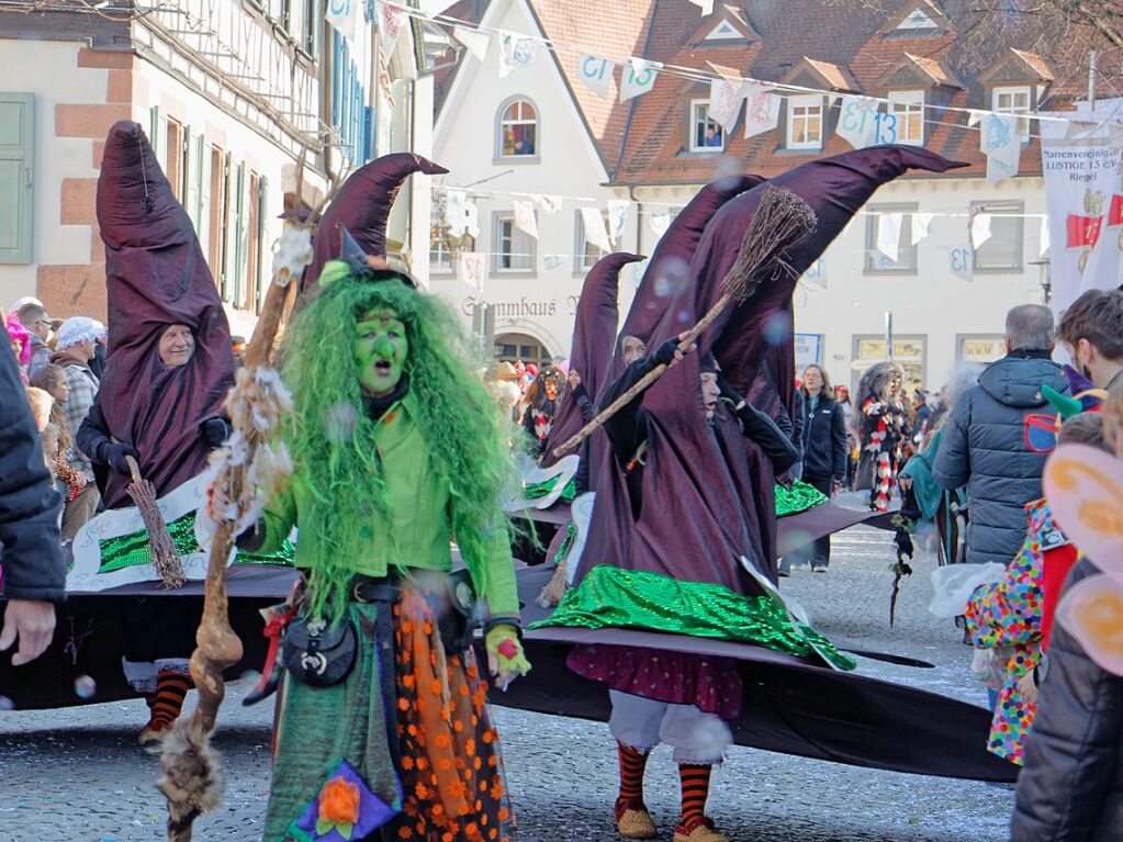 Jubilumsumzug zu 75 Jahre Narrenvereinigung Lustige 13 in Riegel: "De Zsammegwirfelde" aus Forchheim