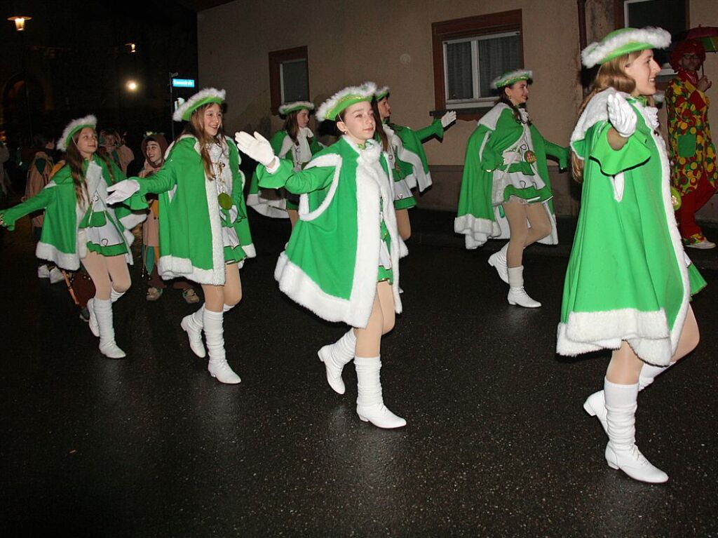 Nachtumzug in Forchheim