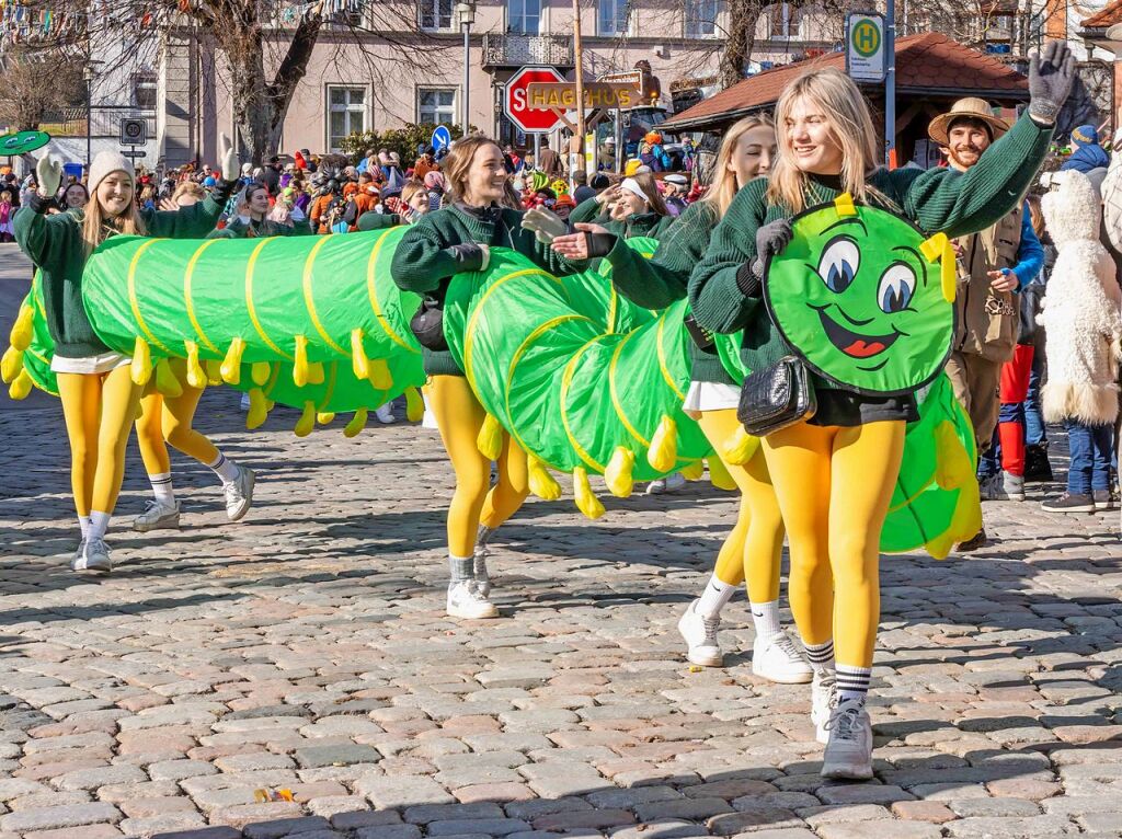 Farbenprchtige Riesenraupe