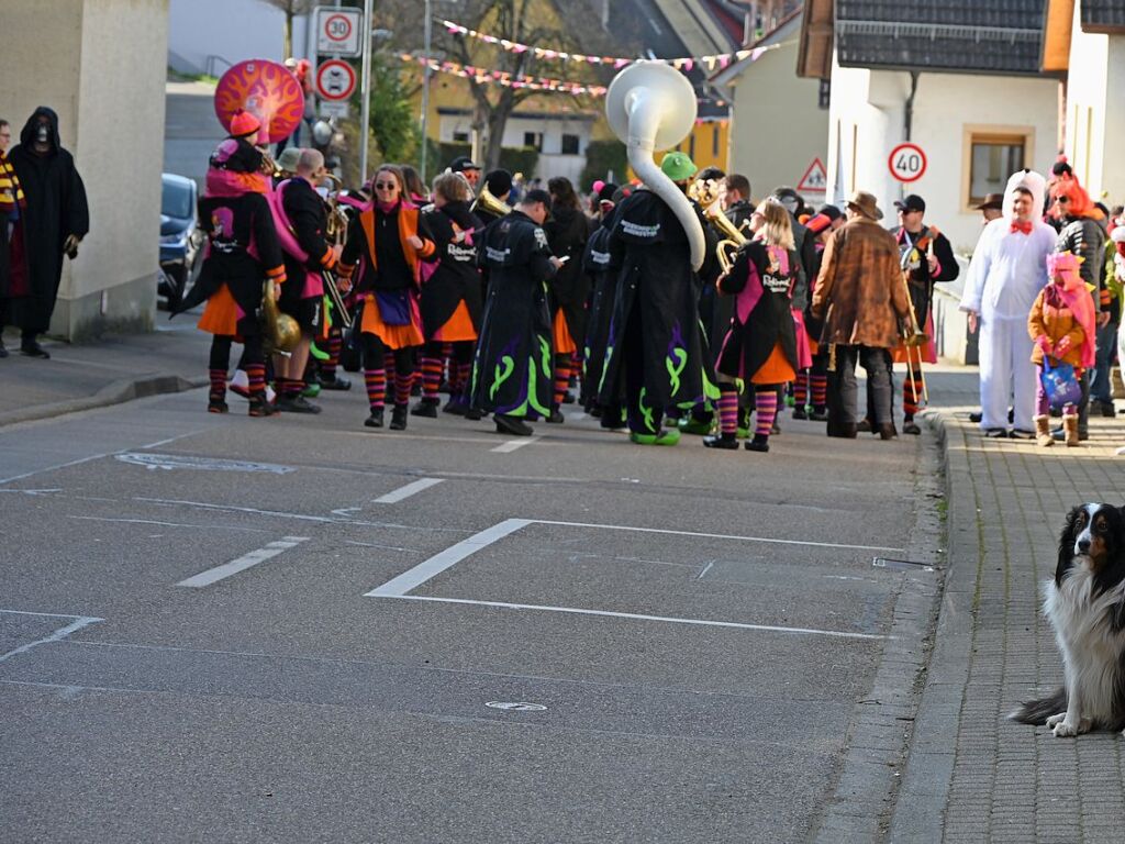 Entlang der Weinstrae, Jahnstrae bis zur Batzenberghalle fhrte der kunterbunte Dorfumzug in Pfaffenweiler.