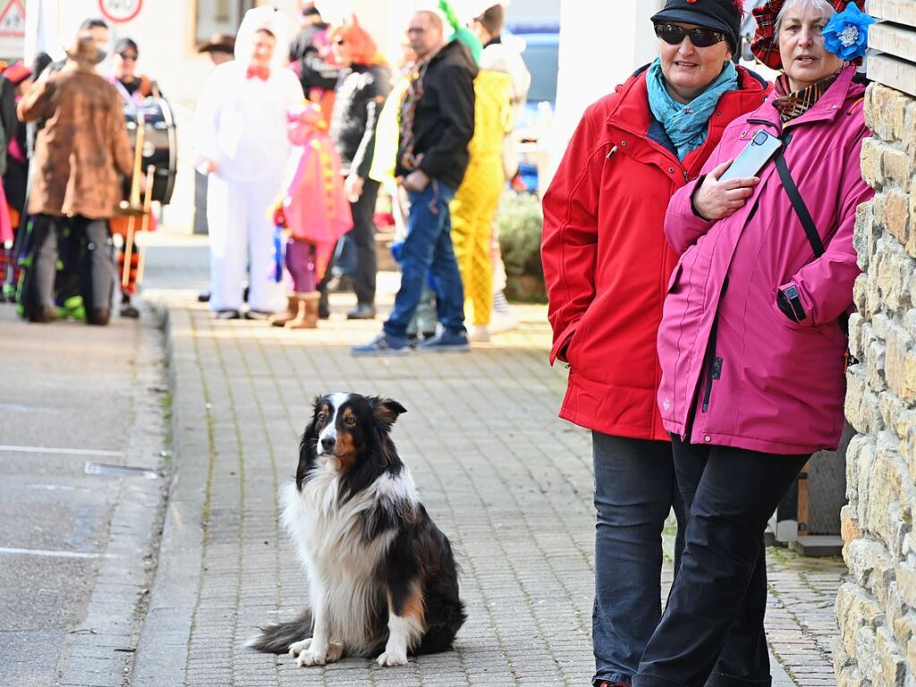 Entlang der Weinstrae, Jahnstrae bis zur Batzenberghalle fhrte der kunterbunte Dorfumzug in Pfaffenweiler.