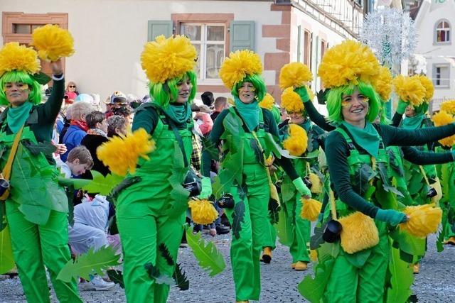 Straenfasnet am Nrdlichen Kaiserstuhl – Bunte Paraden im Sonnenschein