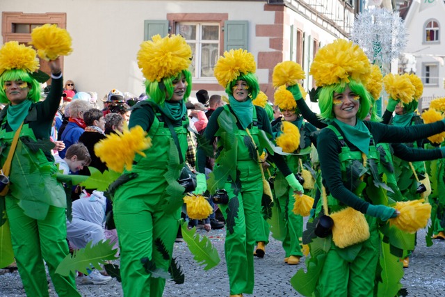 Jubilumsumzug zu 75 Jahre Narrenverei...&quot; als Unkraut, das nicht vergeht.  | Foto: Ruth Seitz