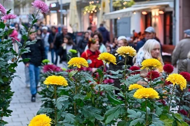 Hhere Standgebhren bei der Chrysanthema in Lahr fhren zu Unmut