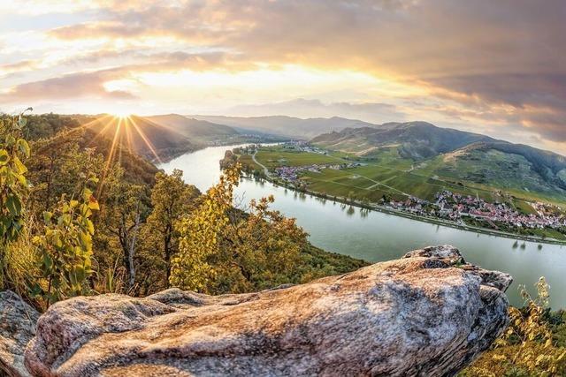 Genusskreuzfahrt durch Weinberge