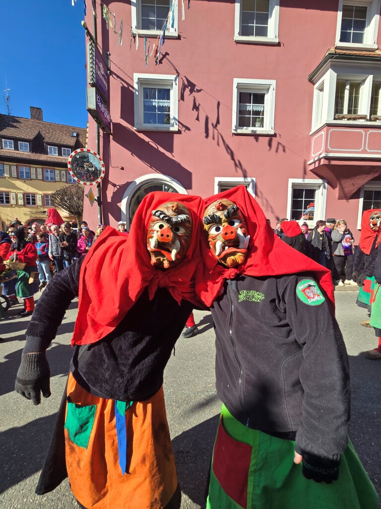 Sau! Hex! Die Hexen aus Bubenbach bereicherten das gestrige Fasnetspektakel im Stdtle.