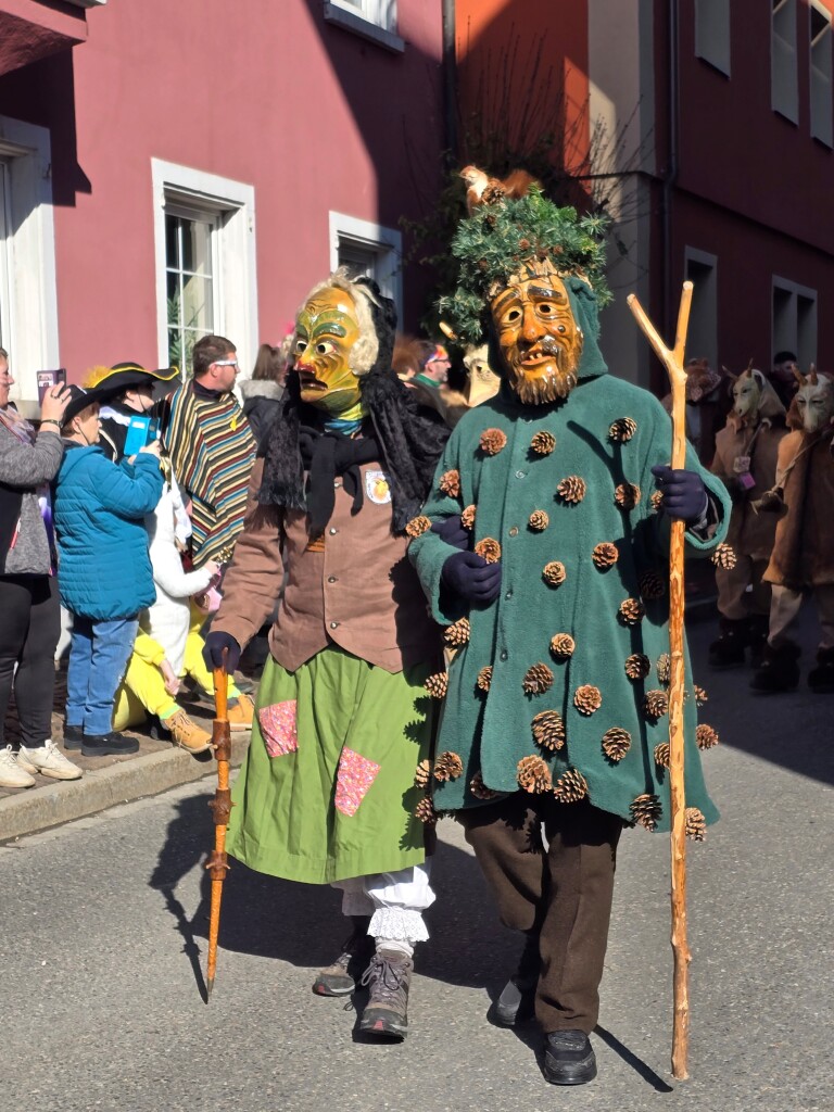 Wurmali und Wurwiebli begleiteten Geien, Fuhrmnner, Taborhexen und Elferrte aus Dittishausen.