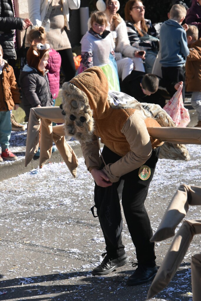 Bei frhlingshaften Temperaturen feiern die Menschen in Reute mit dem Rosenmontagsumzug ausgelassen und frhlich die Fasnet.