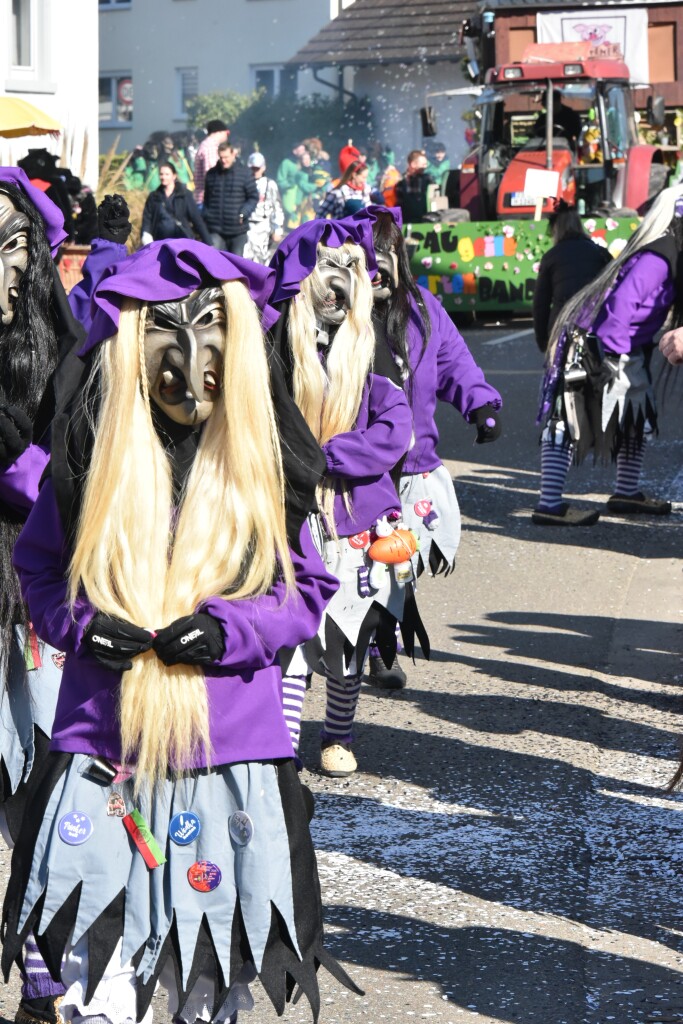 Bei frhlingshaften Temperaturen feiern die Menschen in Reute mit dem Rosenmontagsumzug ausgelassen und frhlich die Fasnet.