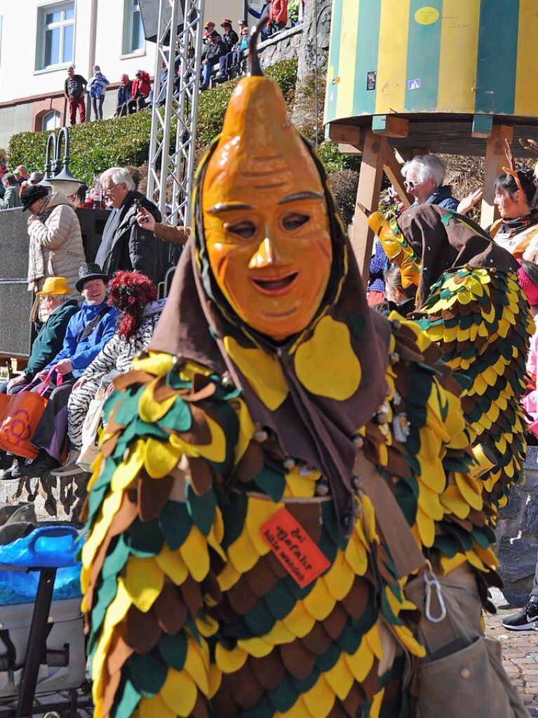 Besser geht’s kaum: Bim Rosenmontagsumzug in Todtnau passten Wetter, Stimmung und Wagen.