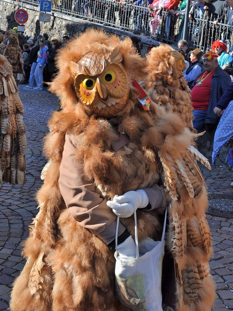 Besser geht’s kaum: Bim Rosenmontagsumzug in Todtnau passten Wetter, Stimmung und Wagen.