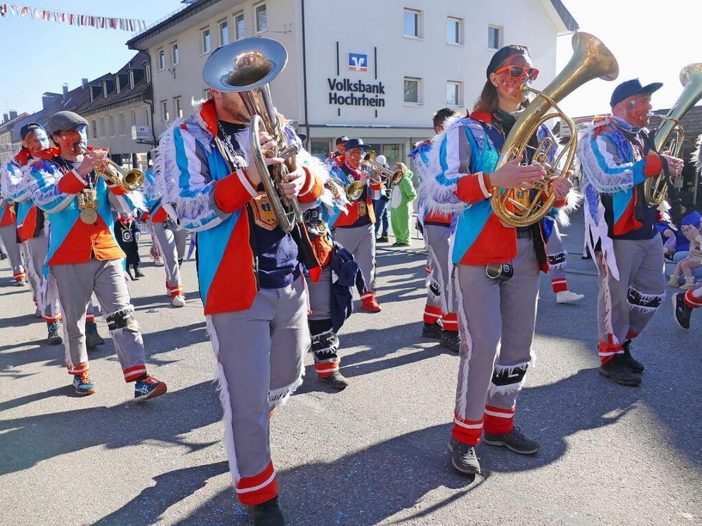 Groer Umzug in Bonndorf am Fasnetmendig