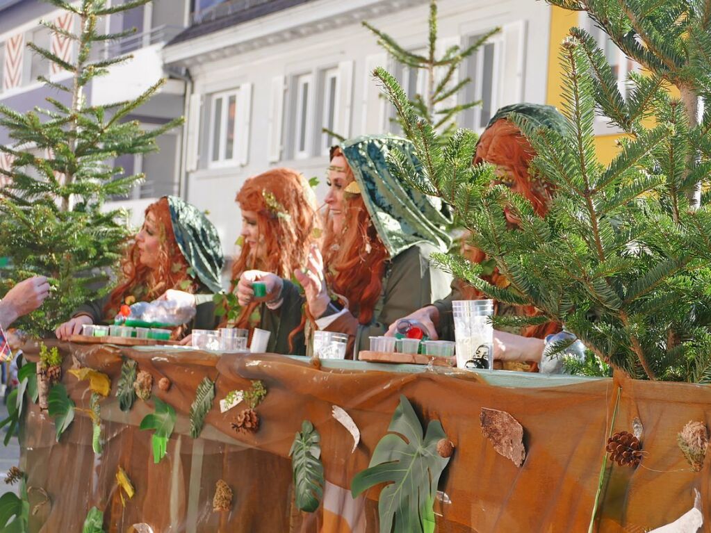 Groer Umzug in Bonndorf am Fasnetmendig