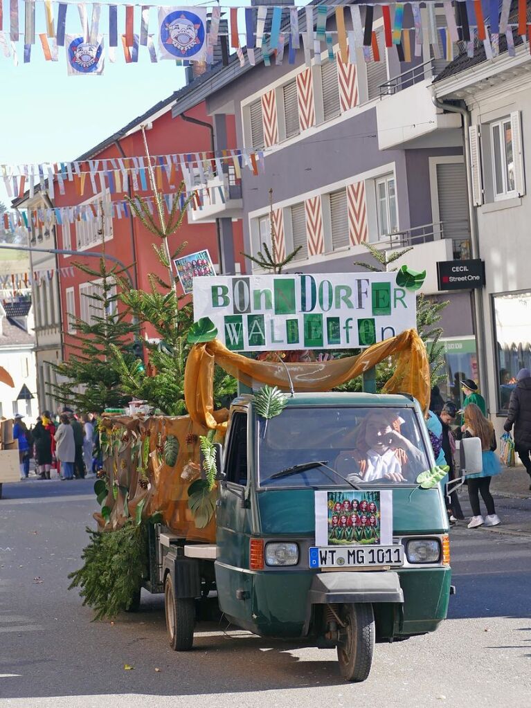 Groer Umzug in Bonndorf am Fasnetmendig