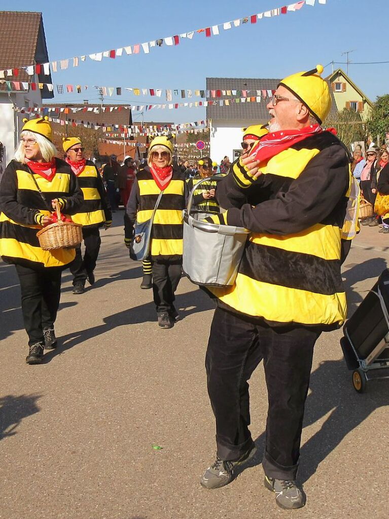 Unbndige Hummeln sind in Nordweil unterwegs