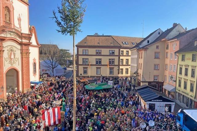 Wikinger und jede Menge Narren – so schn ist die Fasnacht in Bad Sckingen