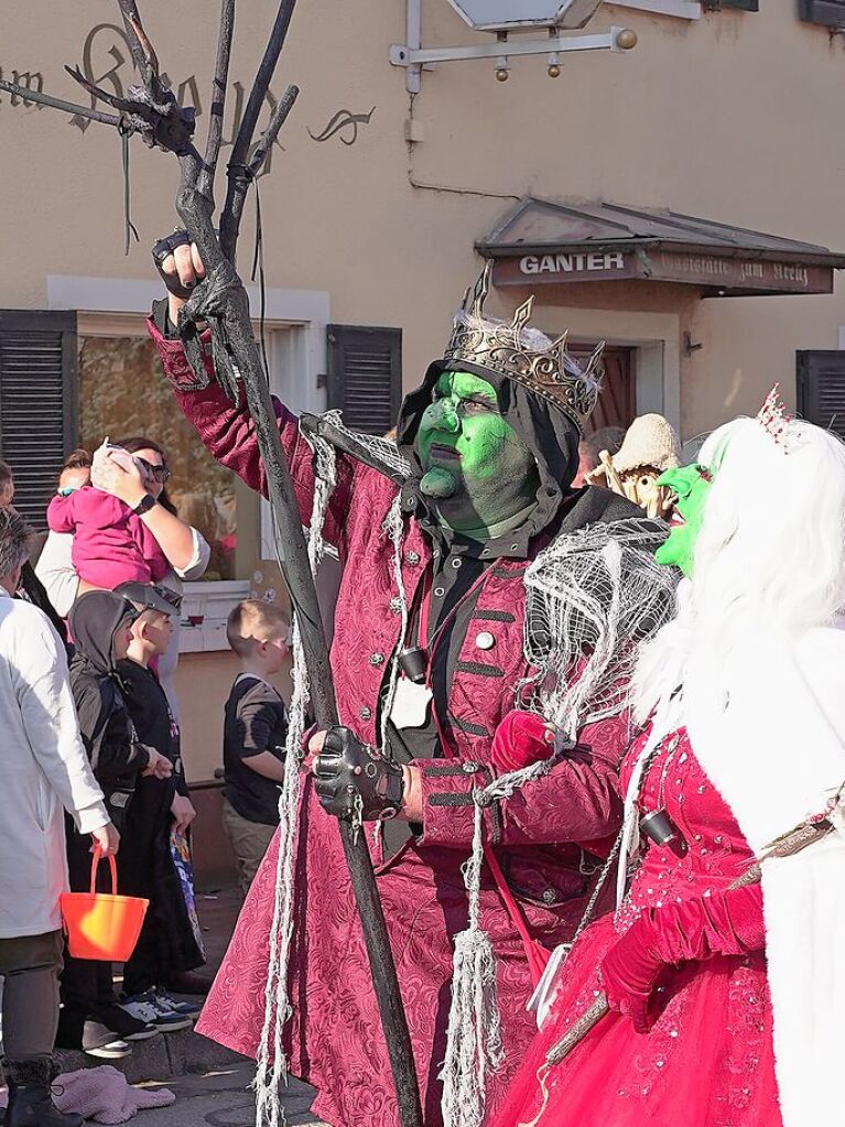 Rosenmontagsumzug in Wyhl: Alles ist verhext.