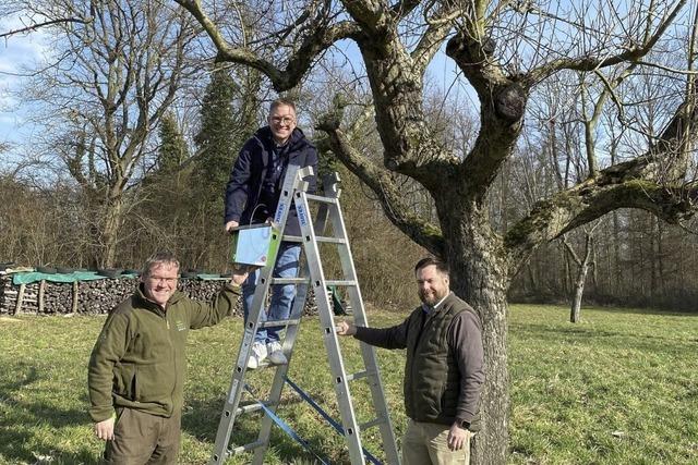 Zur Geburt ein Stck Naturschutz