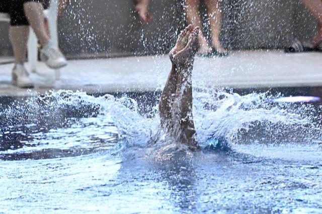 Beim SSV Freiburg sind die groen Plne im Wasserspringen versickert