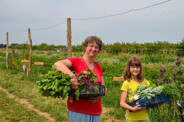 In diesen drei Mietgrten knnen Menschen auch ohne eigenen Garten grtnern