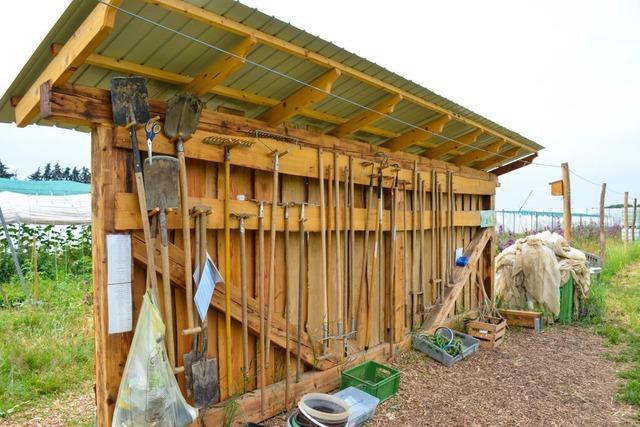 In diesen drei Mietgrten knnen Menschen auch ohne eigenen Garten grtnern