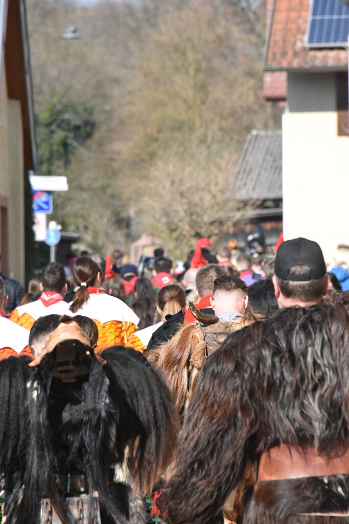 Frhlich und ausgelassen zogen beim Waldteufel-Umzug in Heimbach die Narren durch die Strae.