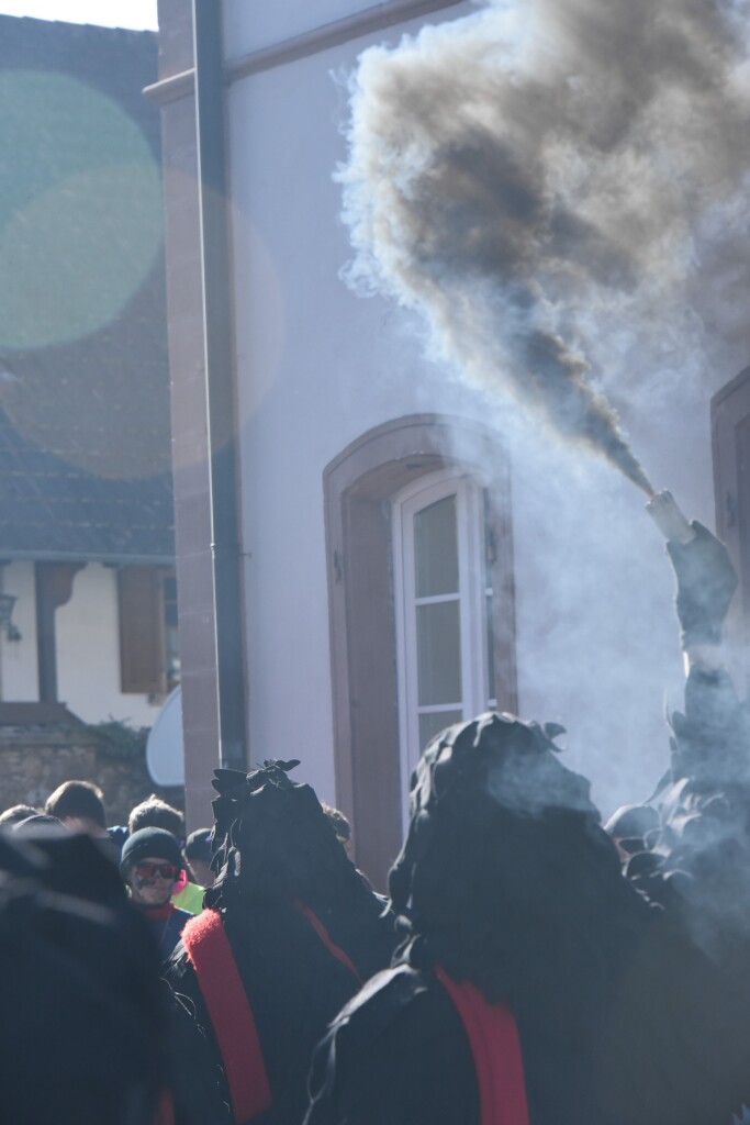 Frhlich und ausgelassen zogen beim Waldteufel-Umzug in Heimbach die Narren durch die Strae.