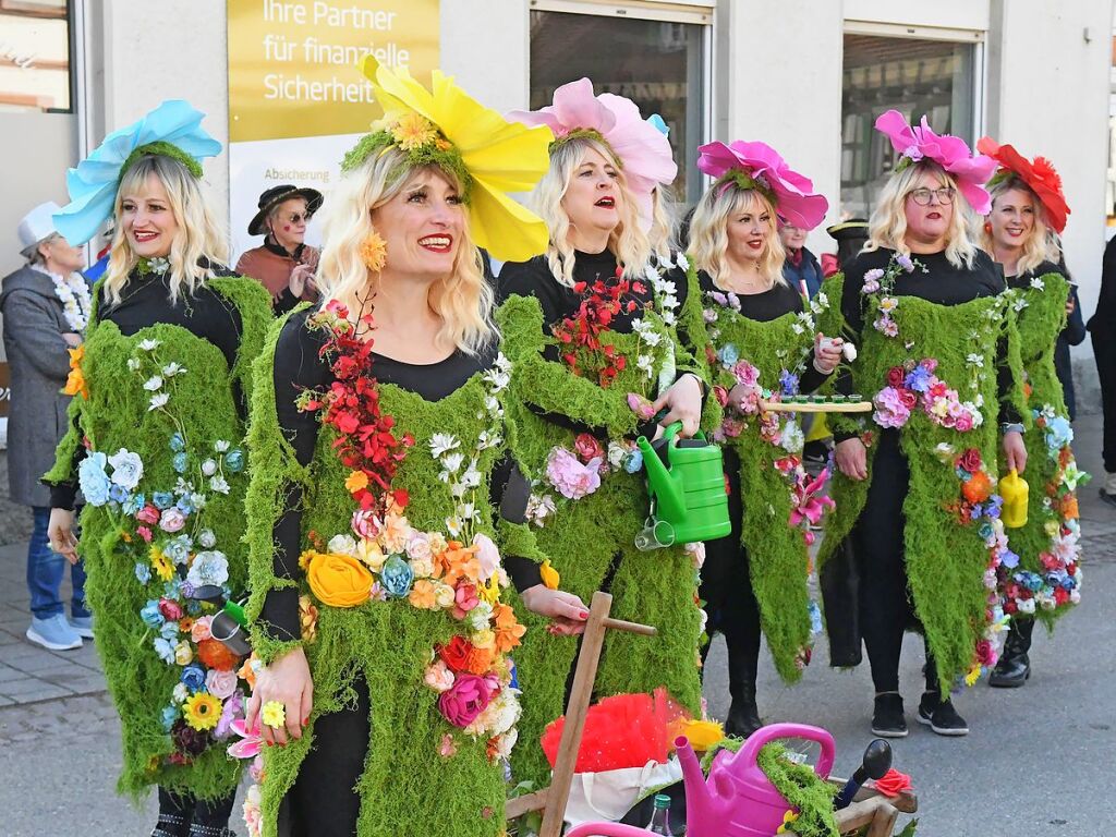 Eindrcke vom Umzug in Neuried-Altenheim