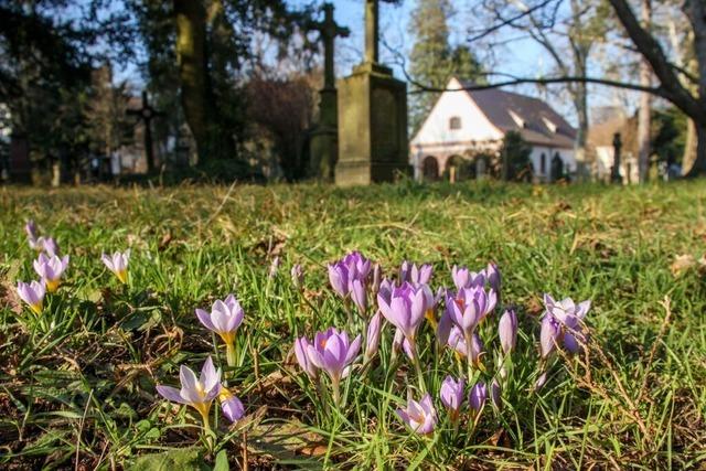 Eher warm, regnerisch und grau, so war der Februar in Freiburg