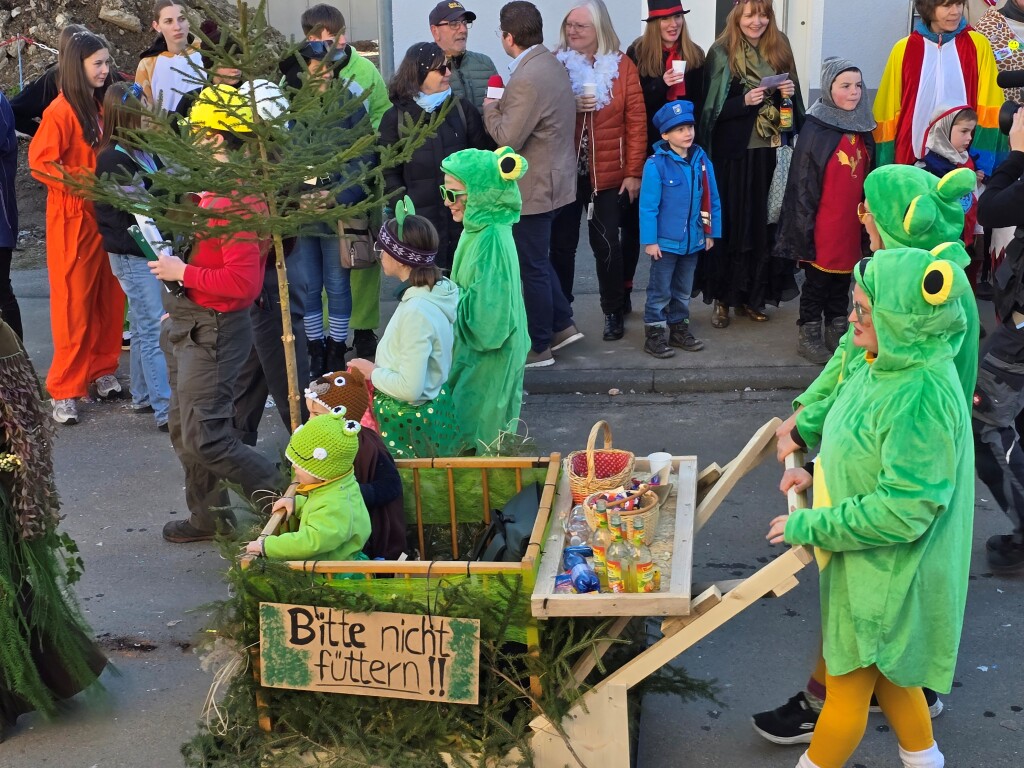 Bei dem Umzug in Lffingen waren aufwendige Wagen und tolle Gruppen unterwegs.