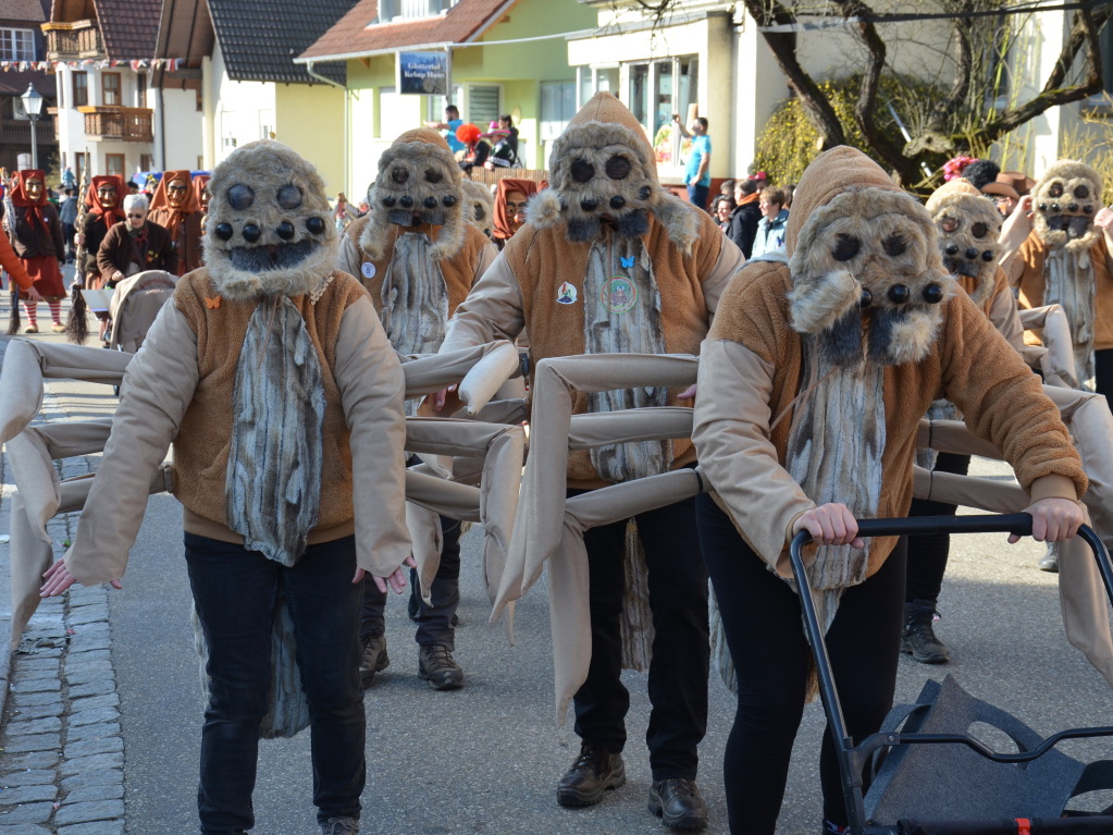 Die Trachtenkapelle Glottertal sowie die Narrenznfte Triibl, Plattewiebli und Eichberghexen marschieren am Sonntag vorneweg. Es folgten diverse Gruppierungen aus dem Glottertal sowie sechs Gastznfte.