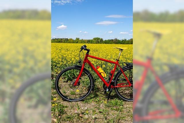 Radtour - Da lang oder da lang-Tour: Sie entscheiden, wo es lang geht