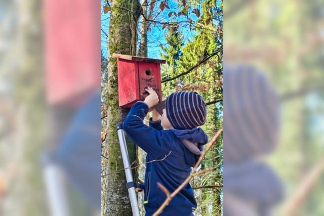 Vogelfreunde sehen in Schopfheim einen alarmierenden Rckgang der Gartenvgel