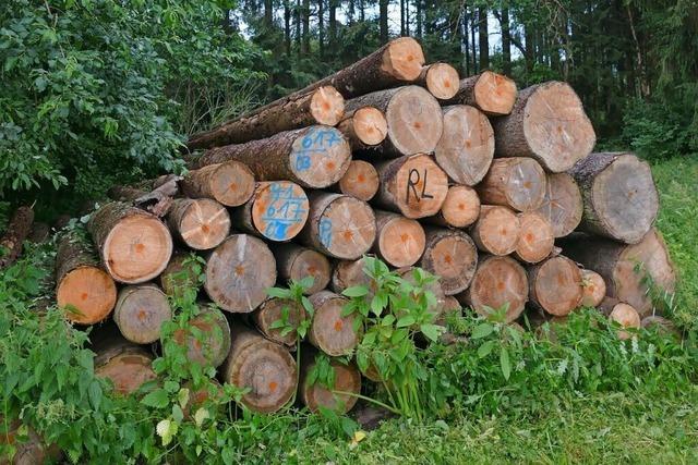 Die Holzverkaufsplanung aus dem Gemeindewald Wutach gestaltet sich nicht einfach