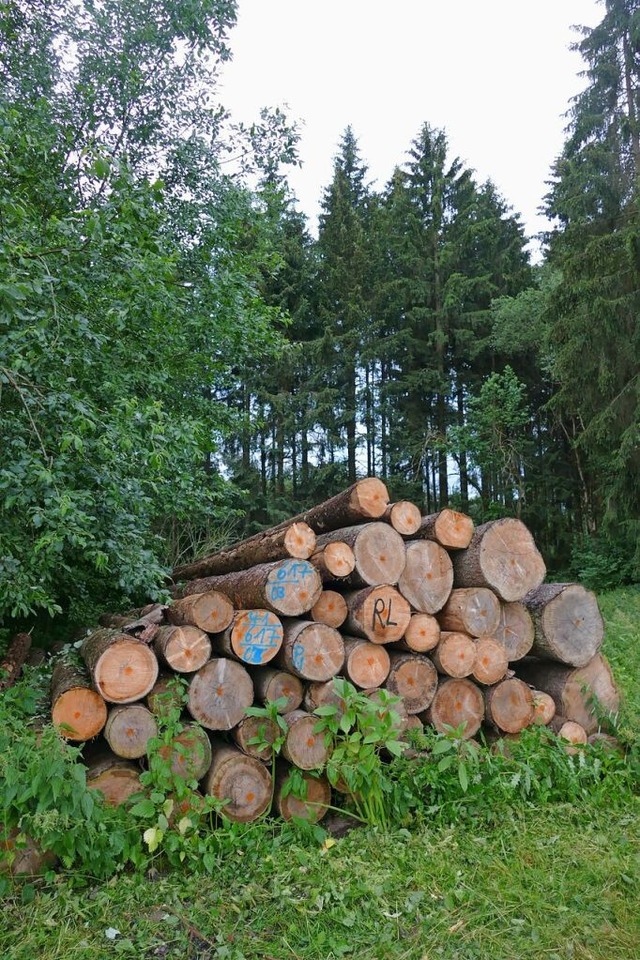 Holzverkauf ist eine Wissenschaft fr sich.  | Foto: Stefan Limberger-Andris